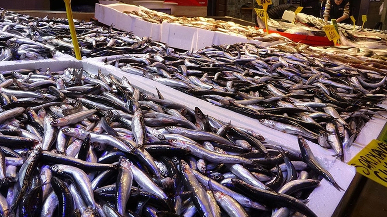 Balıkçıların tezgahlar doldu, fiyatlar yüzleri güldürdü: İşte en ucuz iki balık