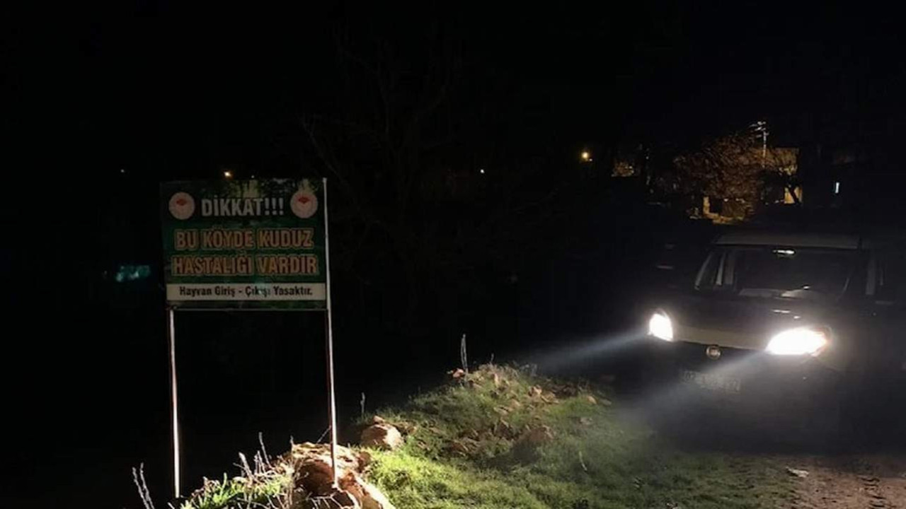 Bir ilimizde daha 6 ay boyunca kuduz karantinası