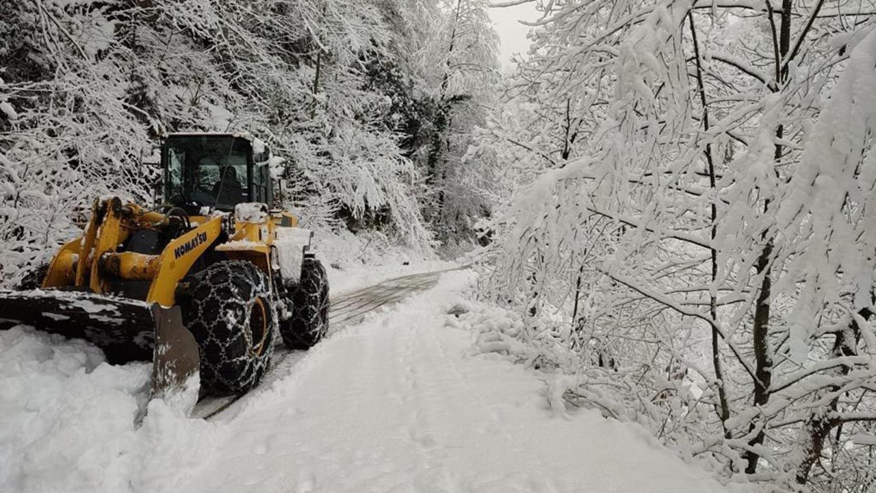 Rize'de kar yağışı hayatı felç etti - Resim: 2