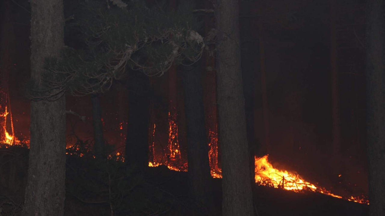Kaz Dağları’nda yangın çıktı: Alevler kısa sürede yayıldı