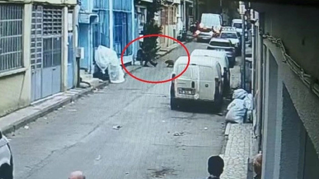 O komut pahalıya patladı: Pitbull silah sayıldı