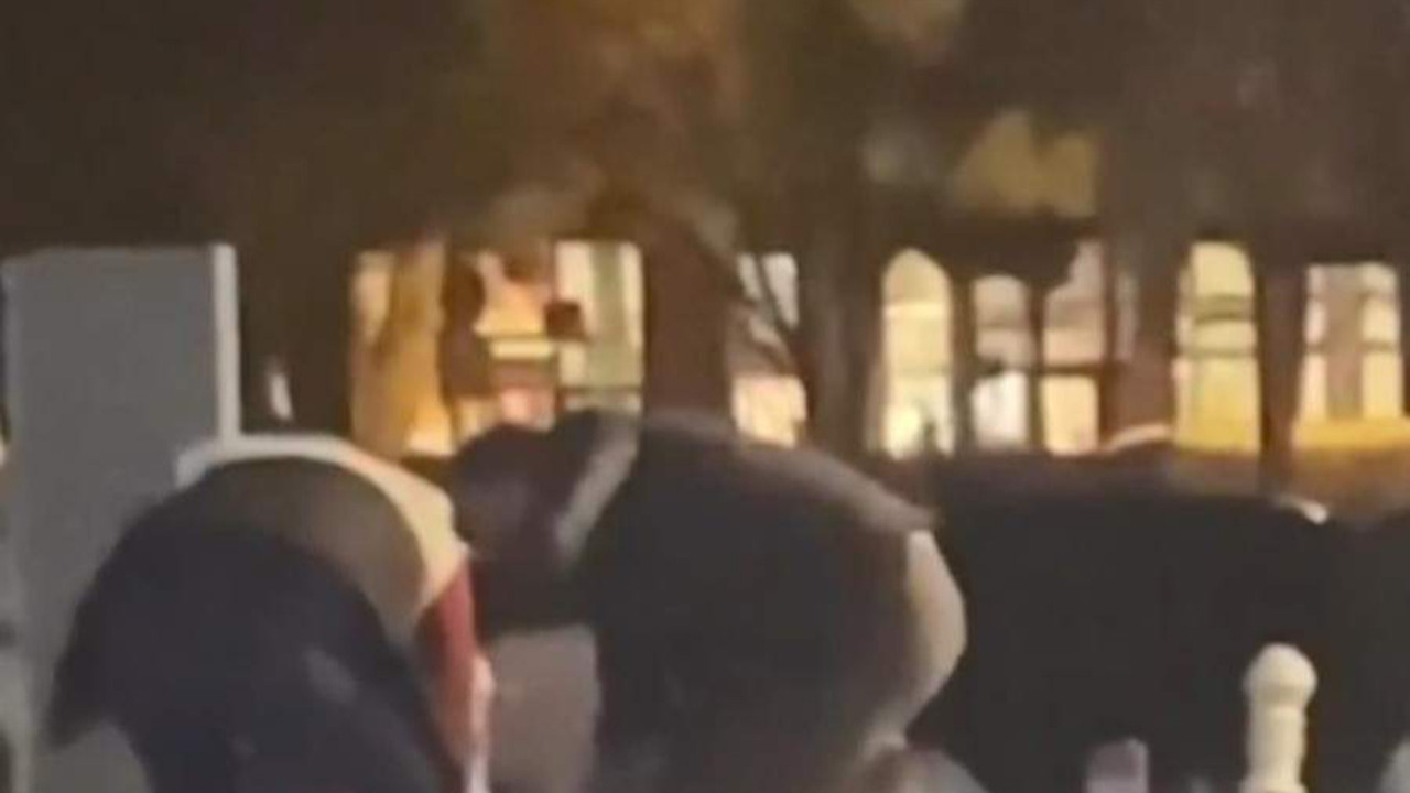 İstanbul'da kadına şiddet kamerada! Çığlıkları sokağı inletti