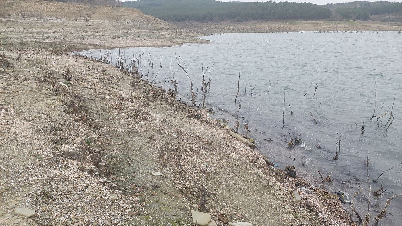 50 yıldır böylesi görülmemişti! Marmara'da kahreden manzara - Resim: 4