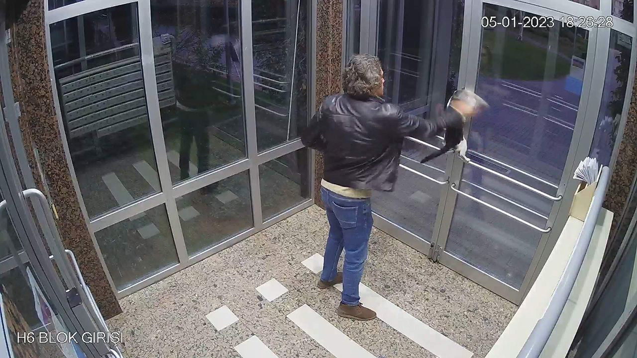 İstanbul'daki kedi düşmanı geri döndü! - Resim: 3
