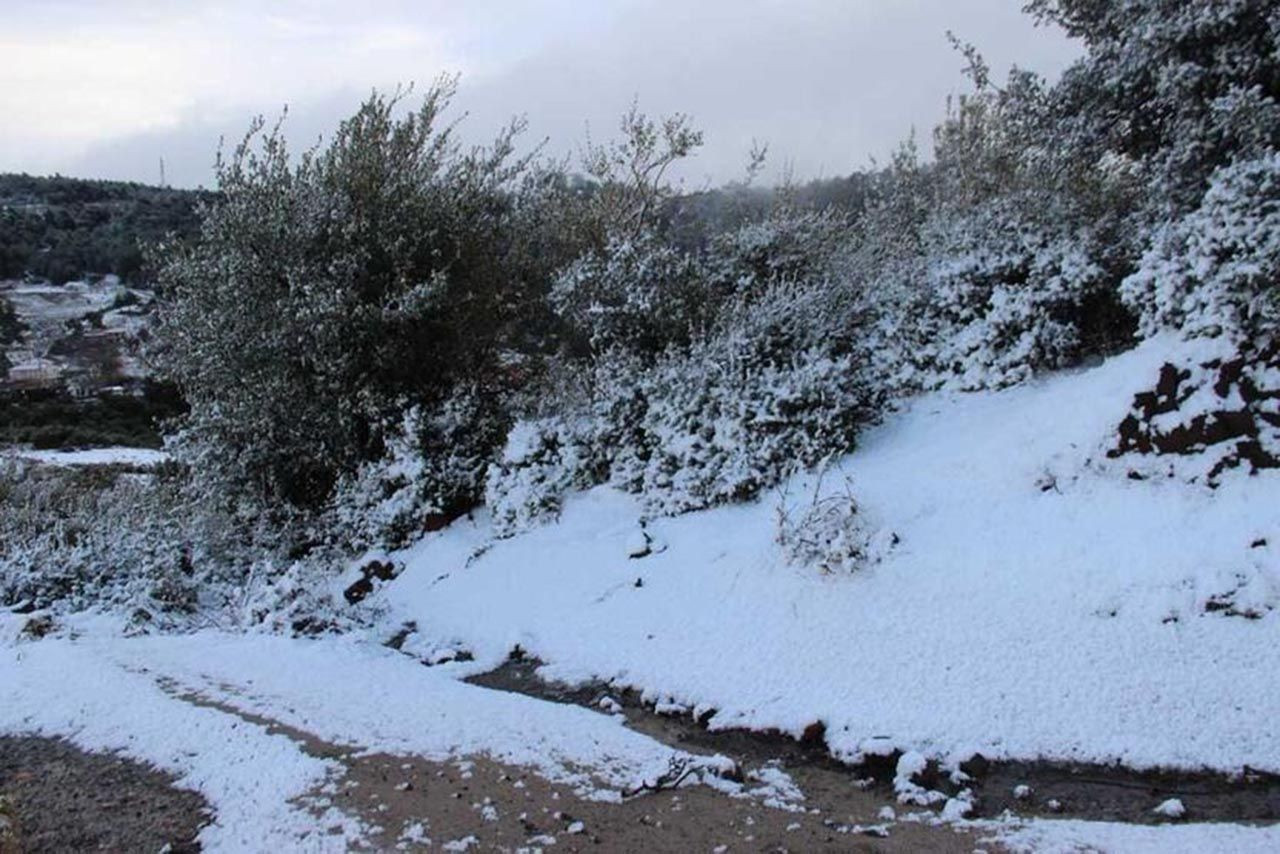 Her yer beyaza büründü: İzmir'e kar sürprizi - Resim: 3