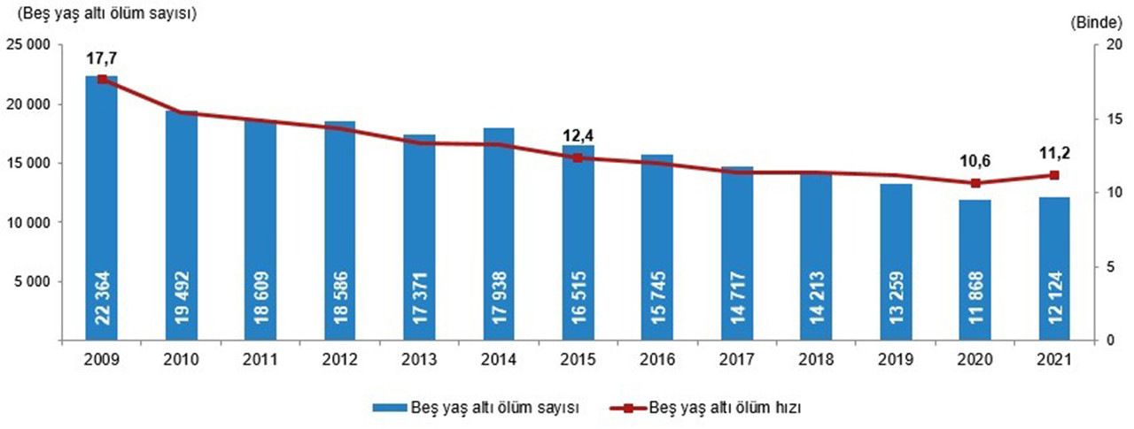 TÜİK 2021 yılı Ölüm ve Ölüm Nedeni İstatistikleri