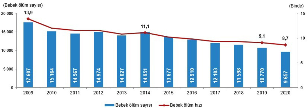 TÜİK 2020 yılı Ölüm ve Ölüm Nedeni İstatistikleri