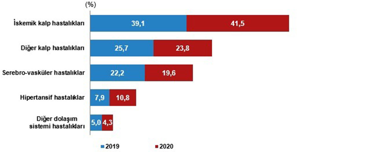 TÜİK 2020 yılı Ölüm ve Ölüm Nedeni İstatistikleri