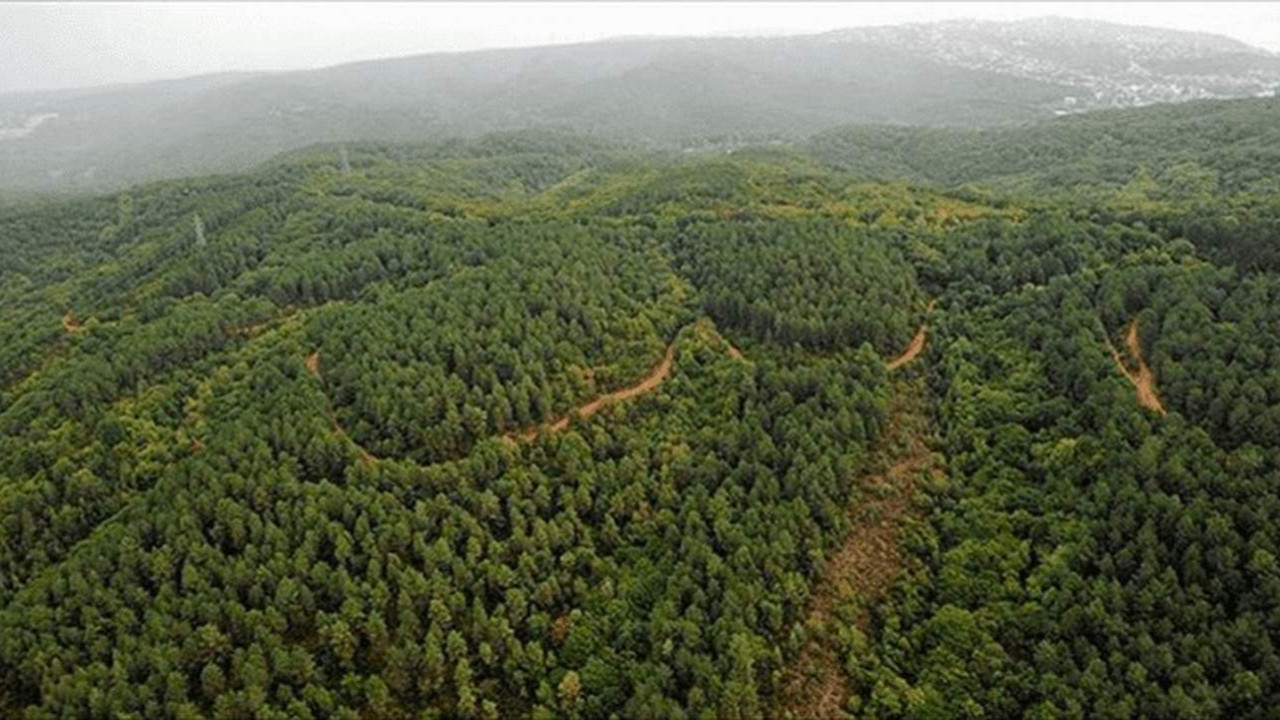 Deprem bölgesinde ormanlar ve meralar yapılaşmaya açıldı