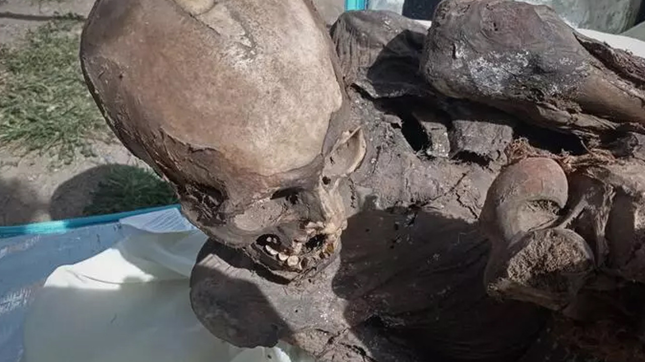 Peru'da kuryenin taşıdığı soğutucu kutuda mumya bulundu