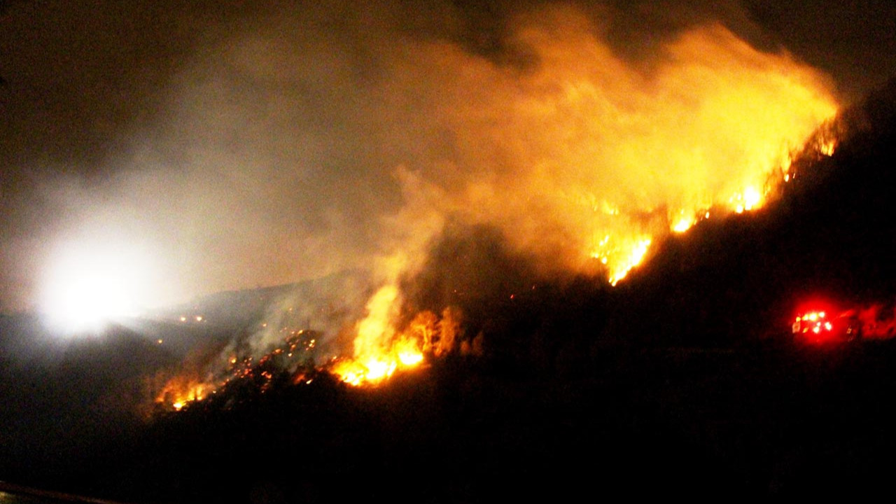 Trabzon'da orman yangını! Alevler rüzgarın etkisiyle yayıldı