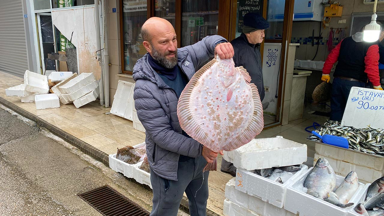Karadeniz'de avlanan dev balık, balıkçıların yüzünü güldürdü