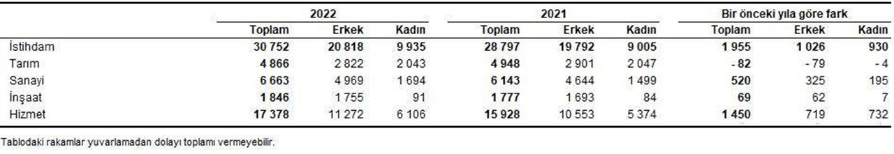 Türkiye istatistik kurumu 2022 yılı işgücü İstatistikleri ve işsizlik rakamları