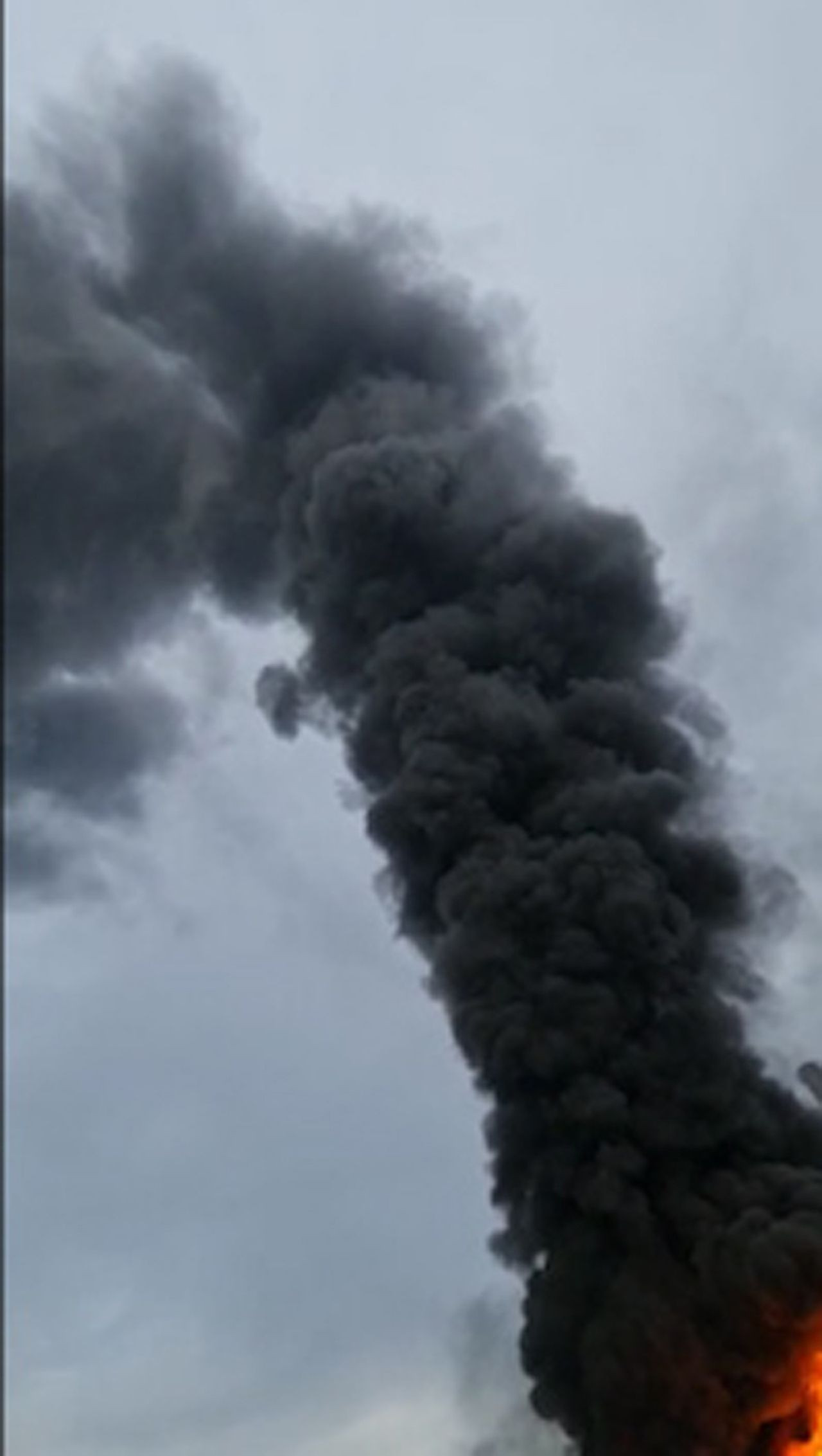 ÇAYKUR Fabrikası'nda yangın! Alevler gökyüzüne ulaştı - Resim: 4