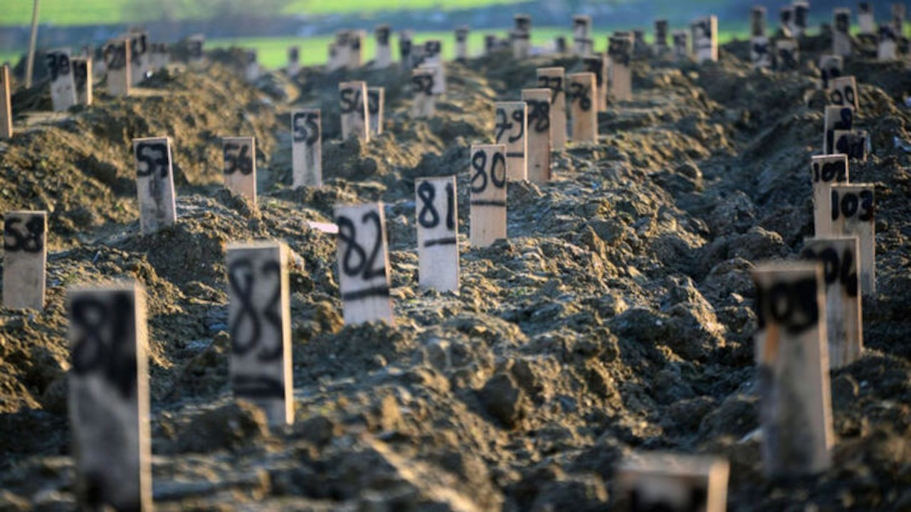 Depremde ölen ve kimliği tespit edilemeyen cenaze  sayısı açıklandı