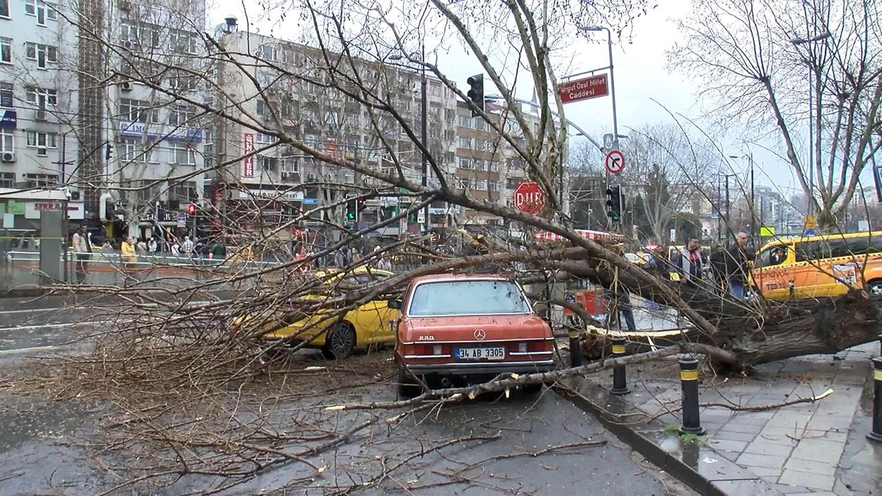 İstanbul'da ağaç 2 aracın üzerine devrildi