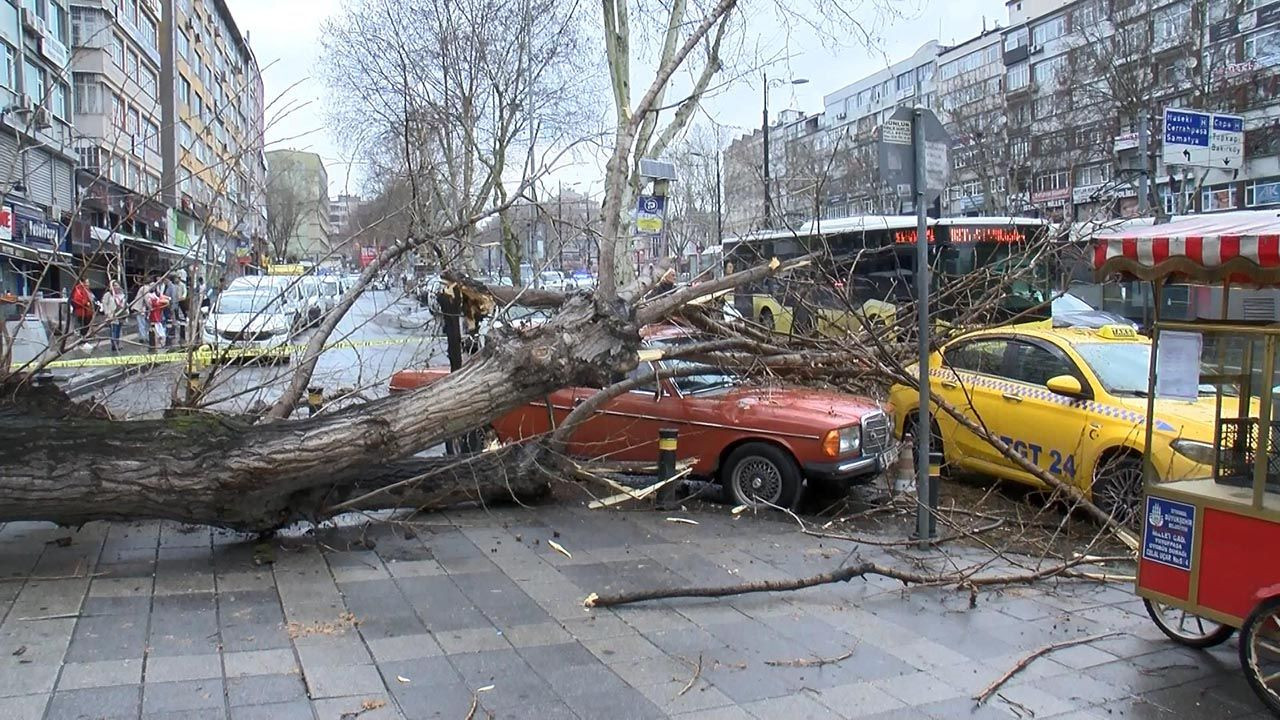 İstanbul'da ağaç 2 aracın üzerine devrildi - Resim: 3