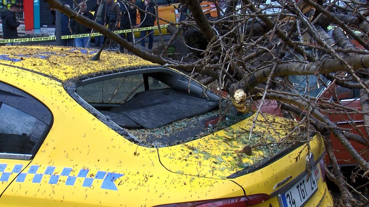İstanbul'da ağaç 2 aracın üzerine devrildi - Resim: 4