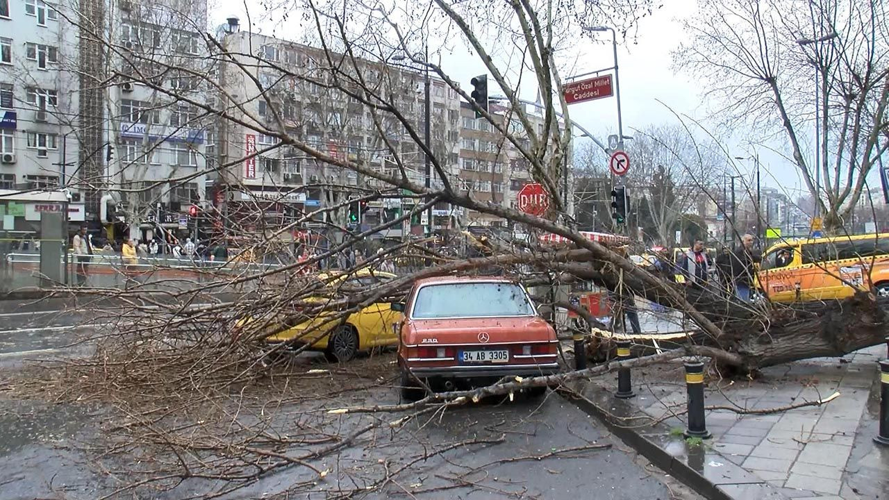 İstanbul'da ağaç 2 aracın üzerine devrildi - Resim: 1