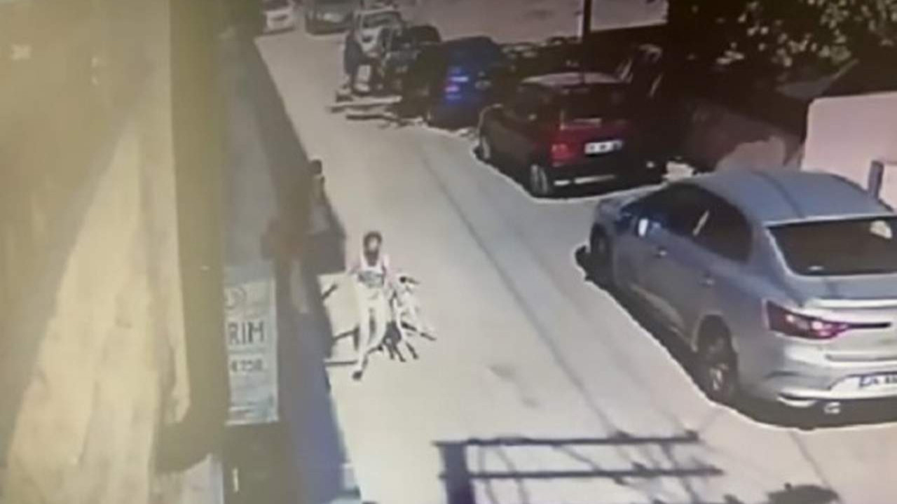 Tasmasız köpek dehşetinde, köpeğin sahibinin hapsi istendi