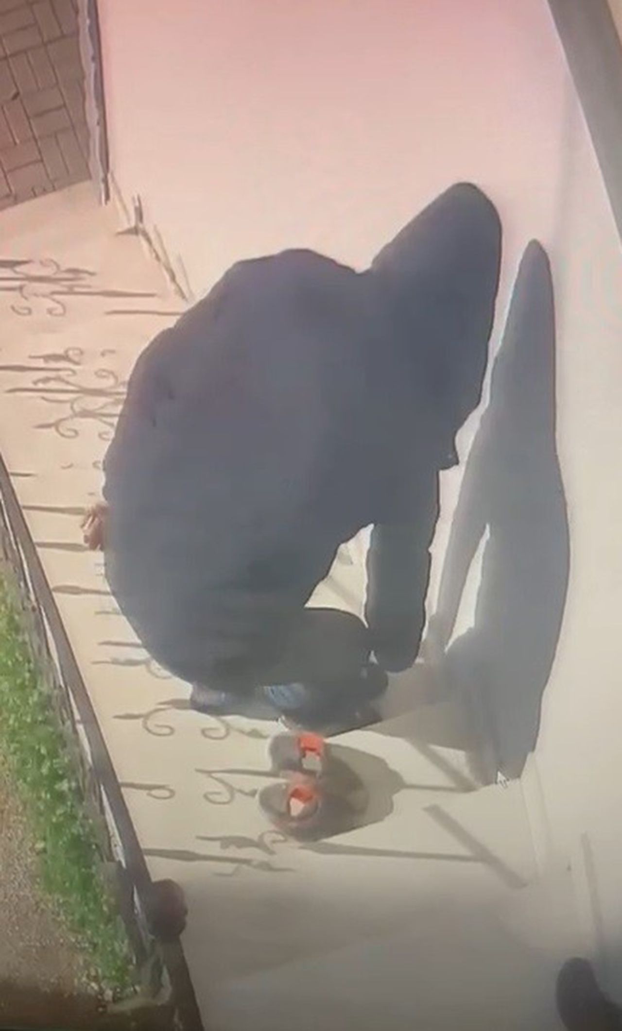 Pişkin hırsız kamerada! Kendininkileri bırakıp çaldı - Resim: 3