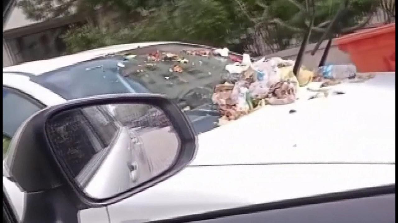 Sen misin hatalı park yapan!
