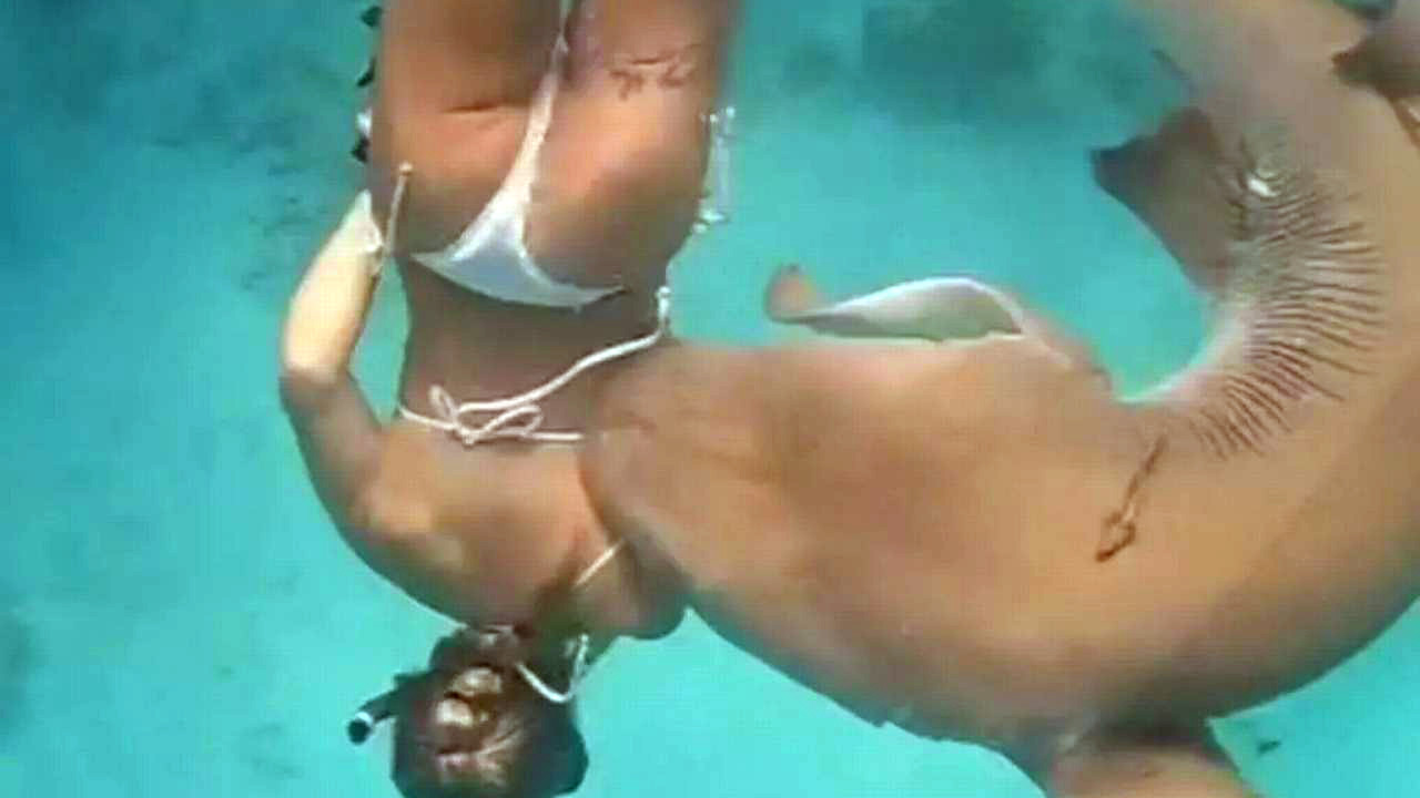 Denizde kabus! Köpekbalığı kadın yüzücüyü böyle saldırdı