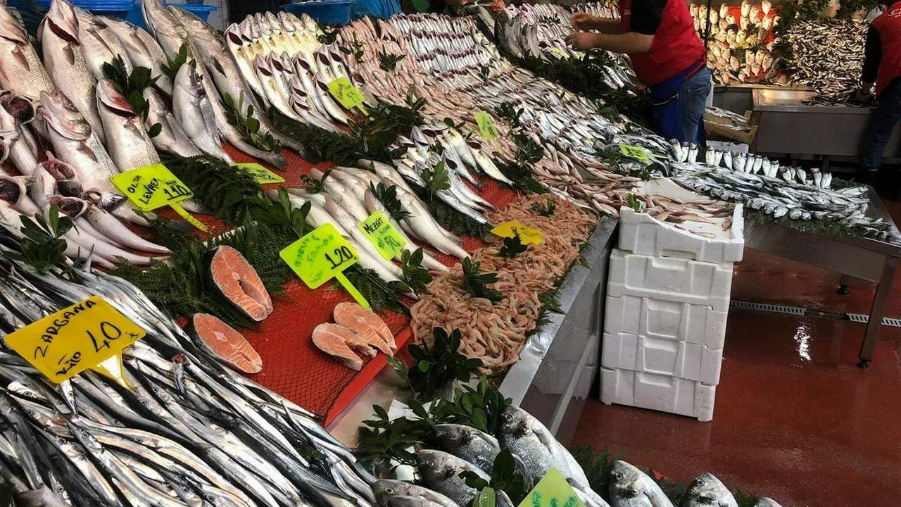 Taze balığa veda! Balık avı yasağı başladı