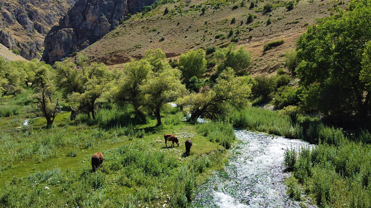 Havalar ısındı, doğa tutkunları oraya akın etti