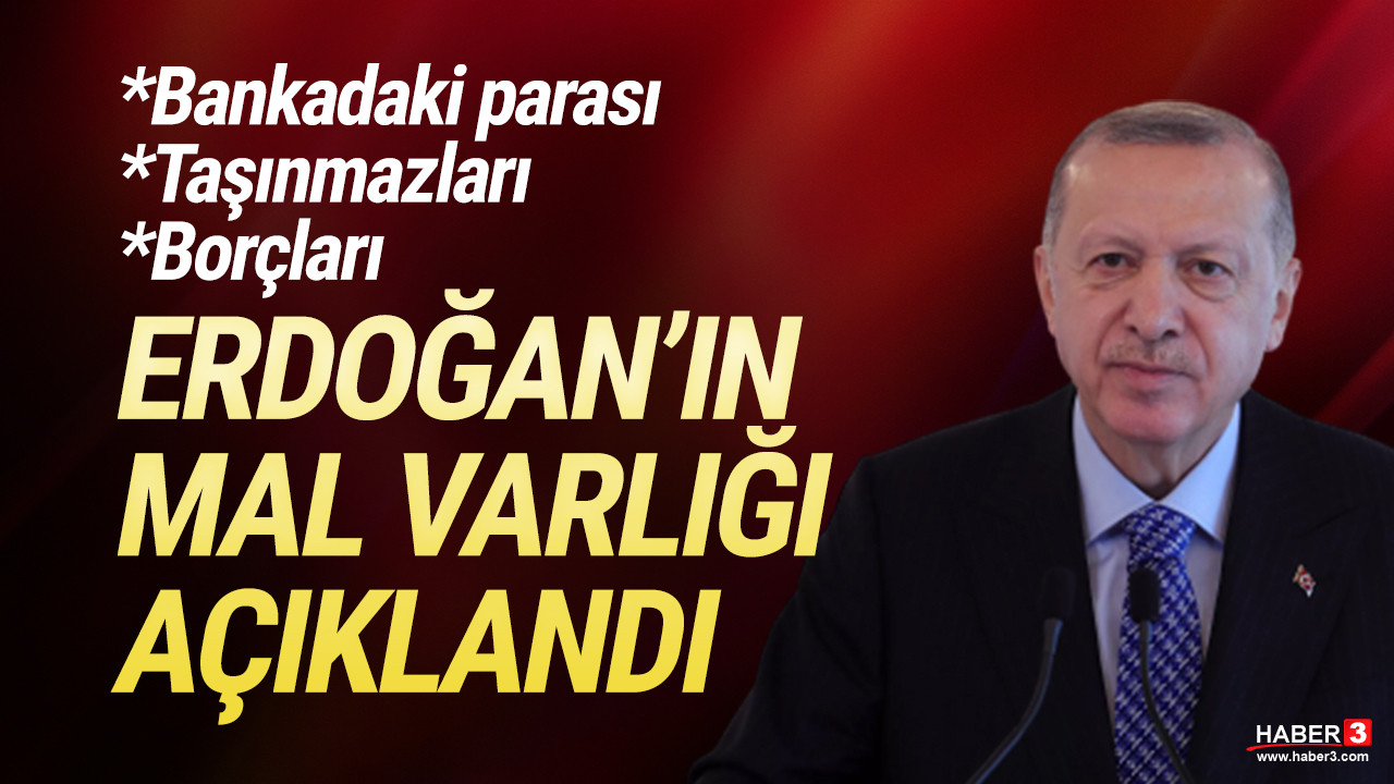 Erdoğan'ın mal varlığı açıklandı: Bankada ne kadar parası var?