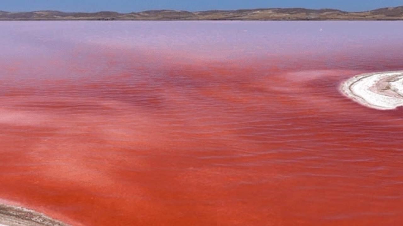 Dünyada bir göl daha kan kırmızısına döndü!