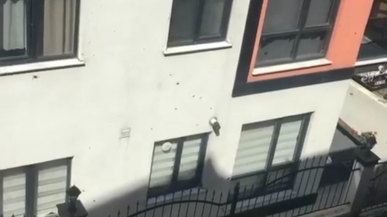 İstanbul'un bir ilçesinde arı istilası! Vatandaş şokta