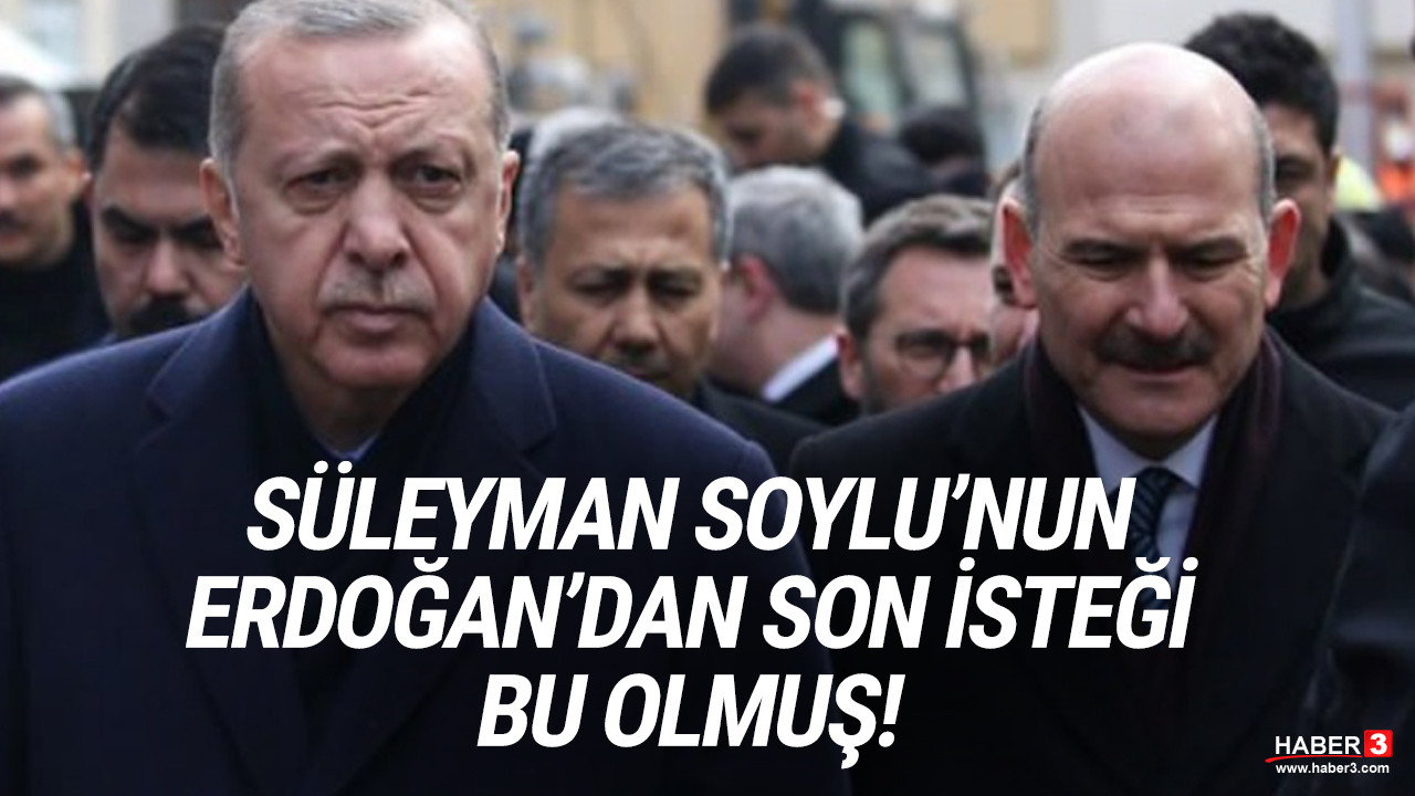 Süleyman Soylu'nun Erdoğan'dan son isteği bu olmuş!