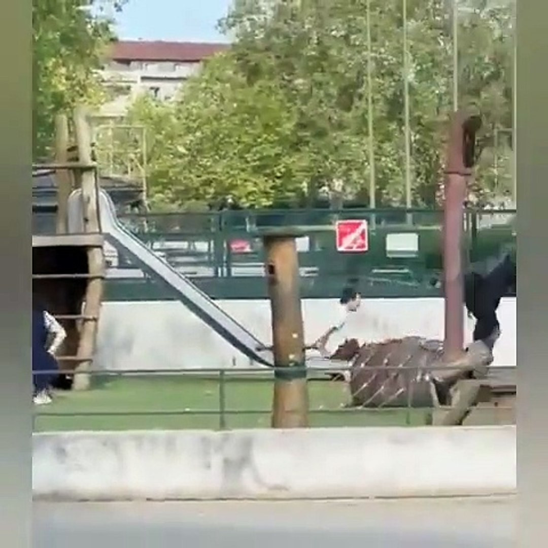 Fransa'da kan donduran görüntüler! Parkta çocuklara bıçakla saldırdı