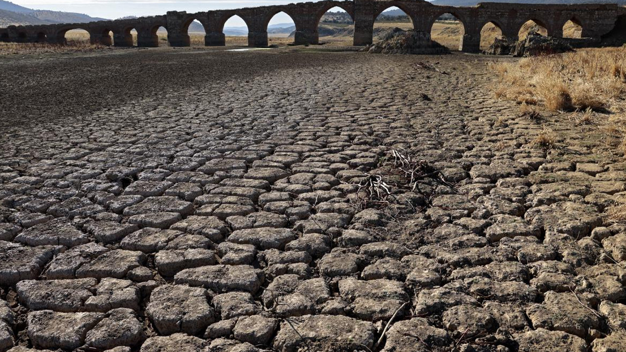 Avrupa'nın tarım üssünü kuraklık vurdu: Kıtlık yaşanabilir