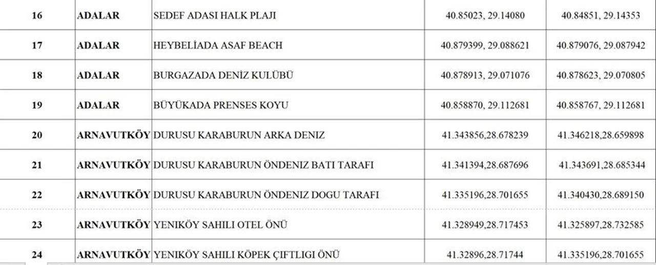 İstanbul'da denize girilecek plajlar açıklandı! Listede 96 yer var - Resim: 5