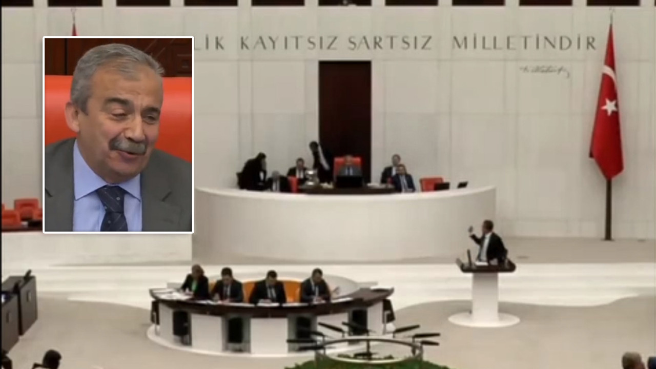 YSP'li Sırrı Süreyya Önder'den Meclis'i kahkahalara boğan sözler