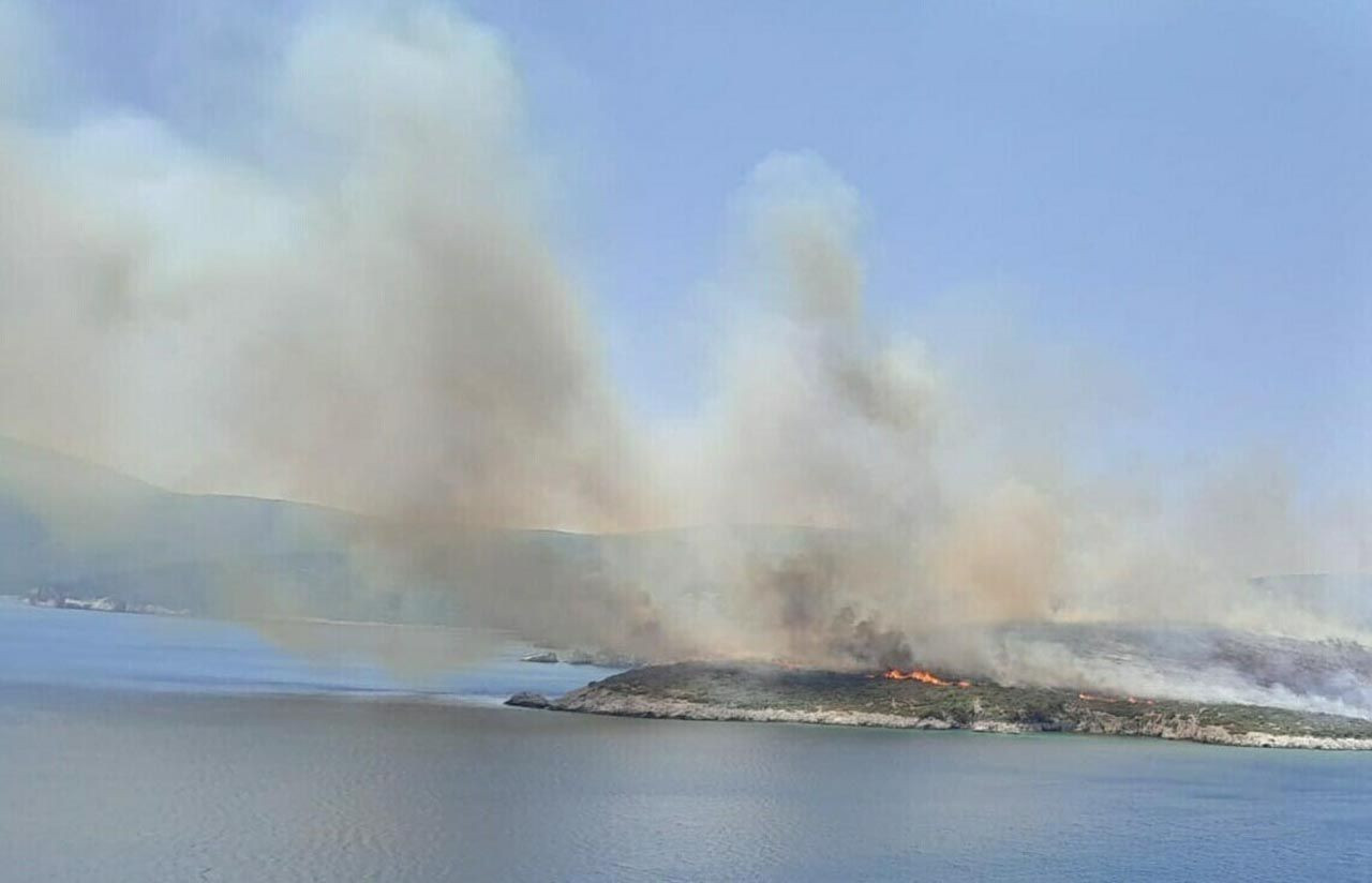 İzmir ve Muğla'da orman yangını