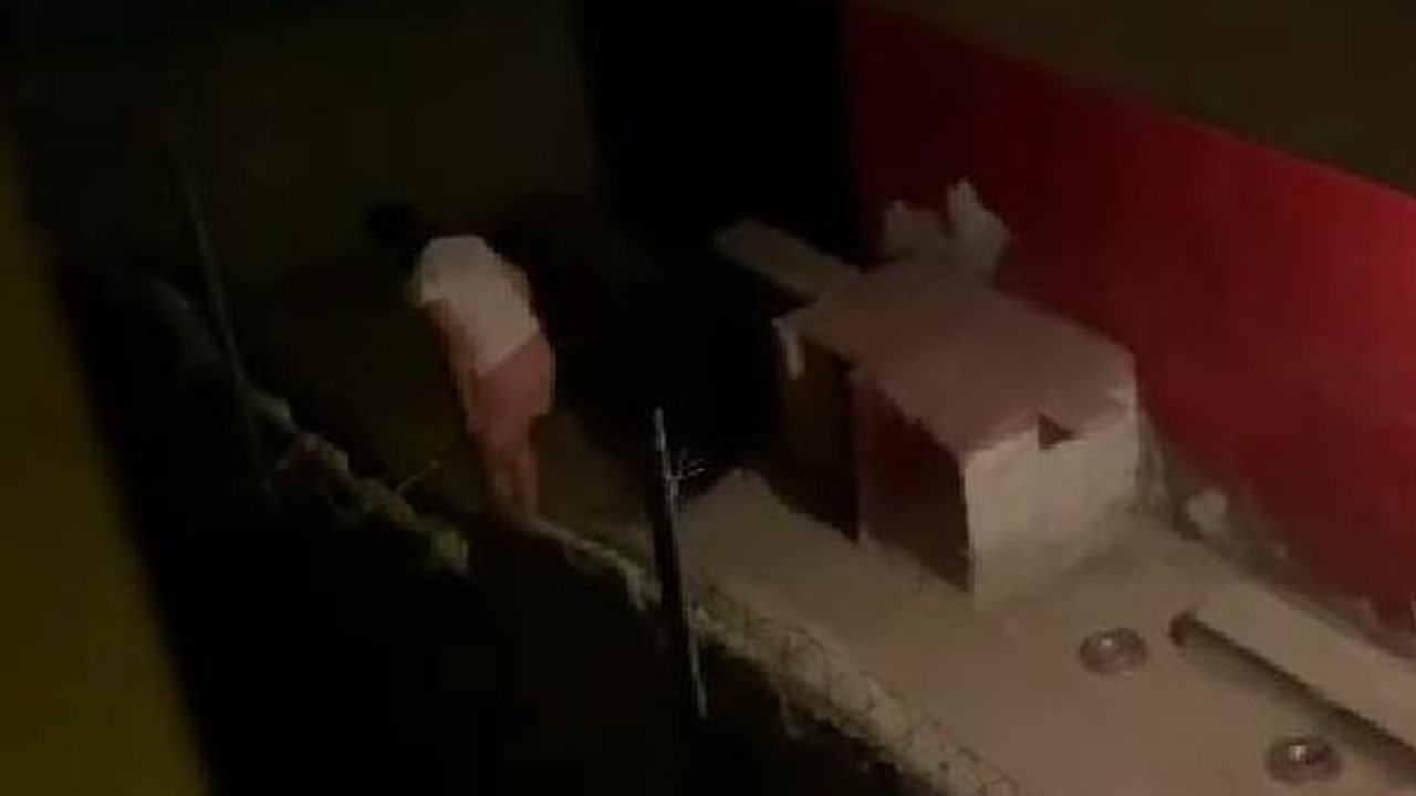Vicdansız! Yavru köpeği sopayla dövdü