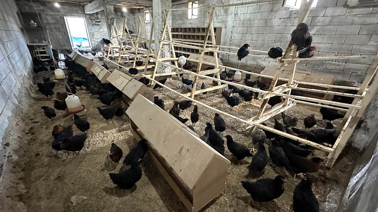 4 öğretmen hobi olarak başladı; şimdi çiftlik sahibi oldular