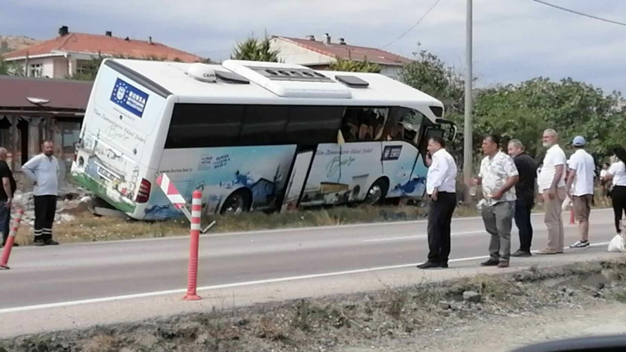 Yola çıkan köpek faciaya neden oldu: 1 ölü, 7 yaralı