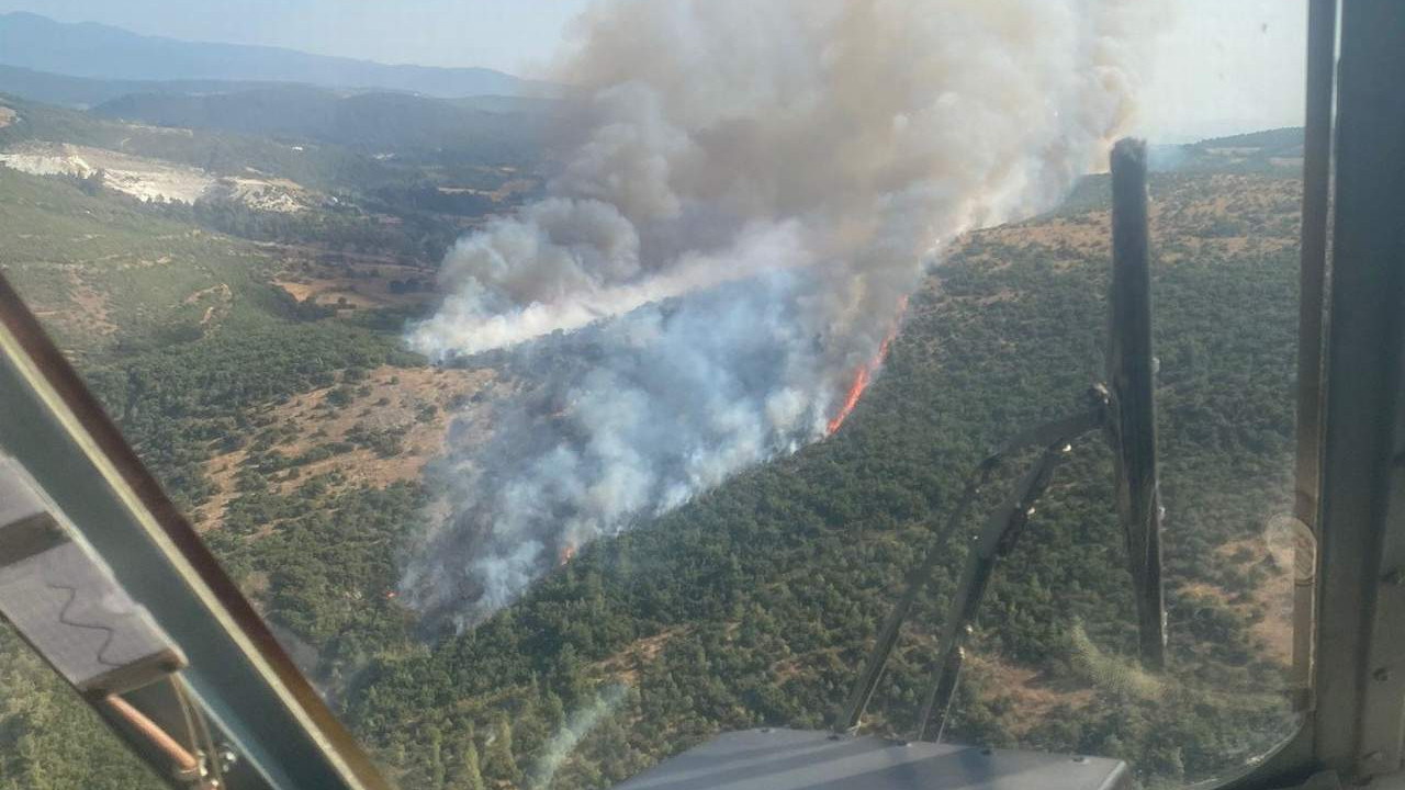 Balıkesir'de orman yangını: 30 hektar kül oldu