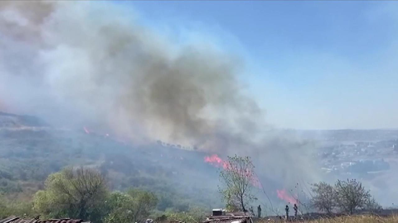 İstanbul'da ağaçlık alanda yangın