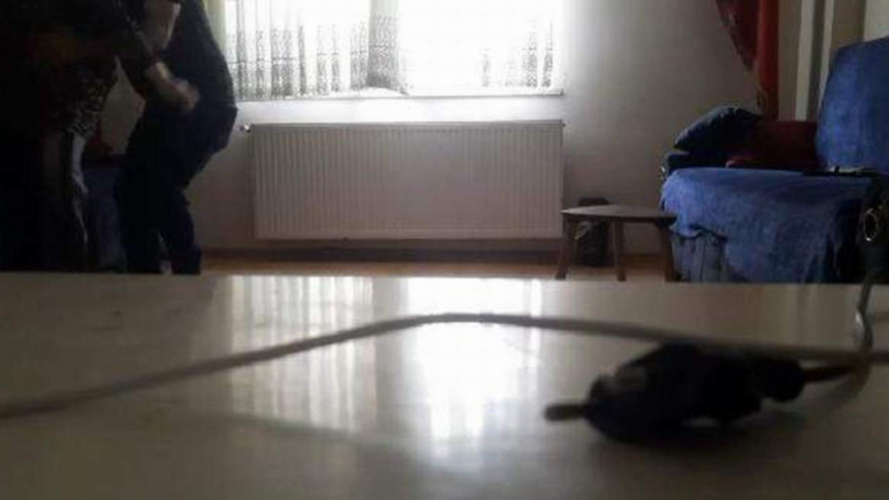 İstanbul'da ev sahibinden kiracısına iğrenç taciz kamerada