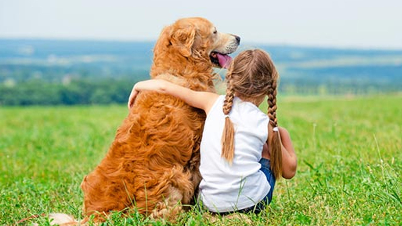 Böyle teşvik görülmedi: Çocuk yapana köpek hediye!