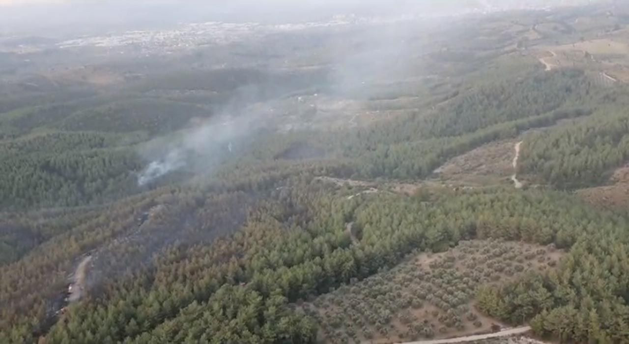 İzmir'de orman yangını