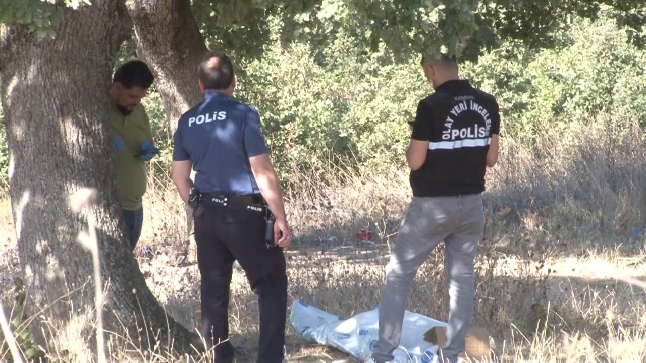 İstanbul'da yol kenarında ceset bulundu
