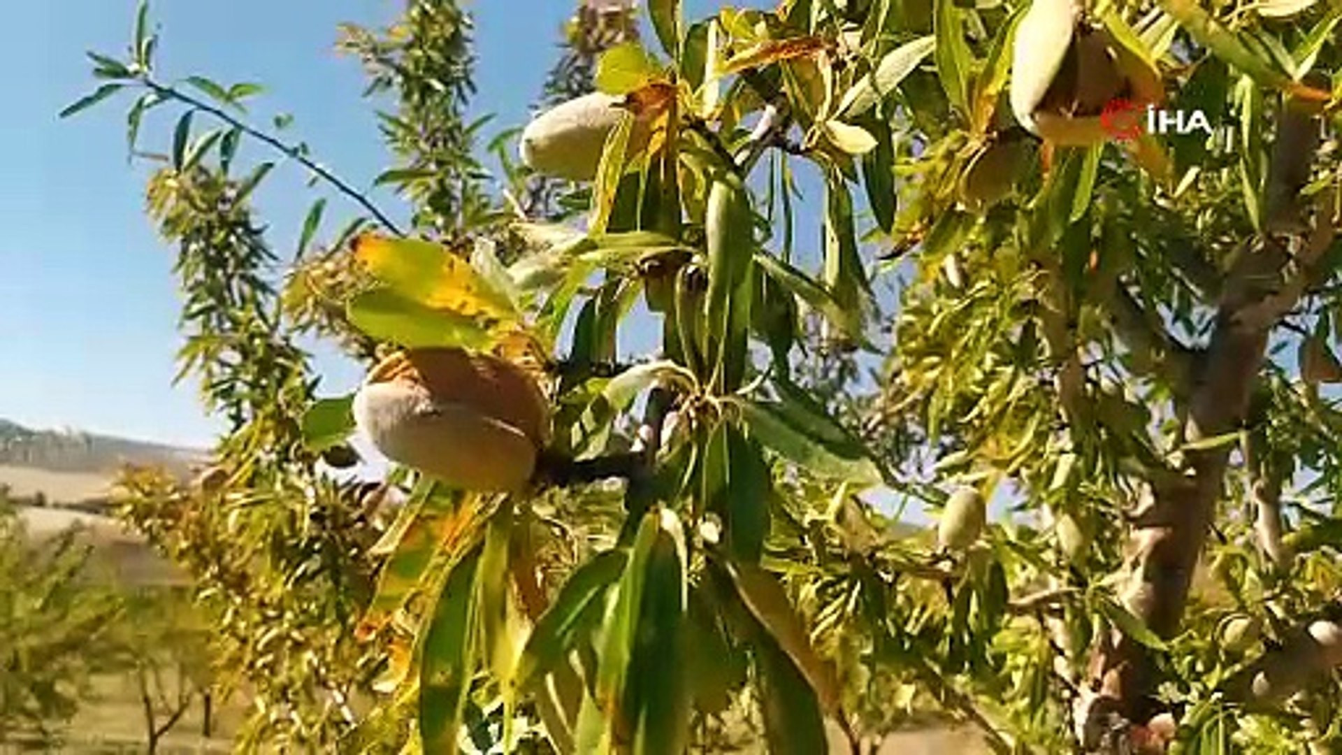 Burada yetiştiremezsin dediler, şimdi siparişlere yetişemiyor