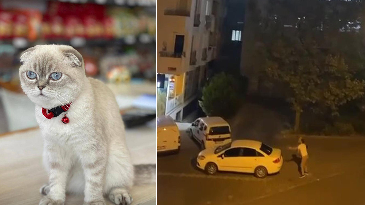 Esenyurt'ta kedi kavgası silahlı çatışmaya dönüştü: Yoldan geçen kurye yaralandı