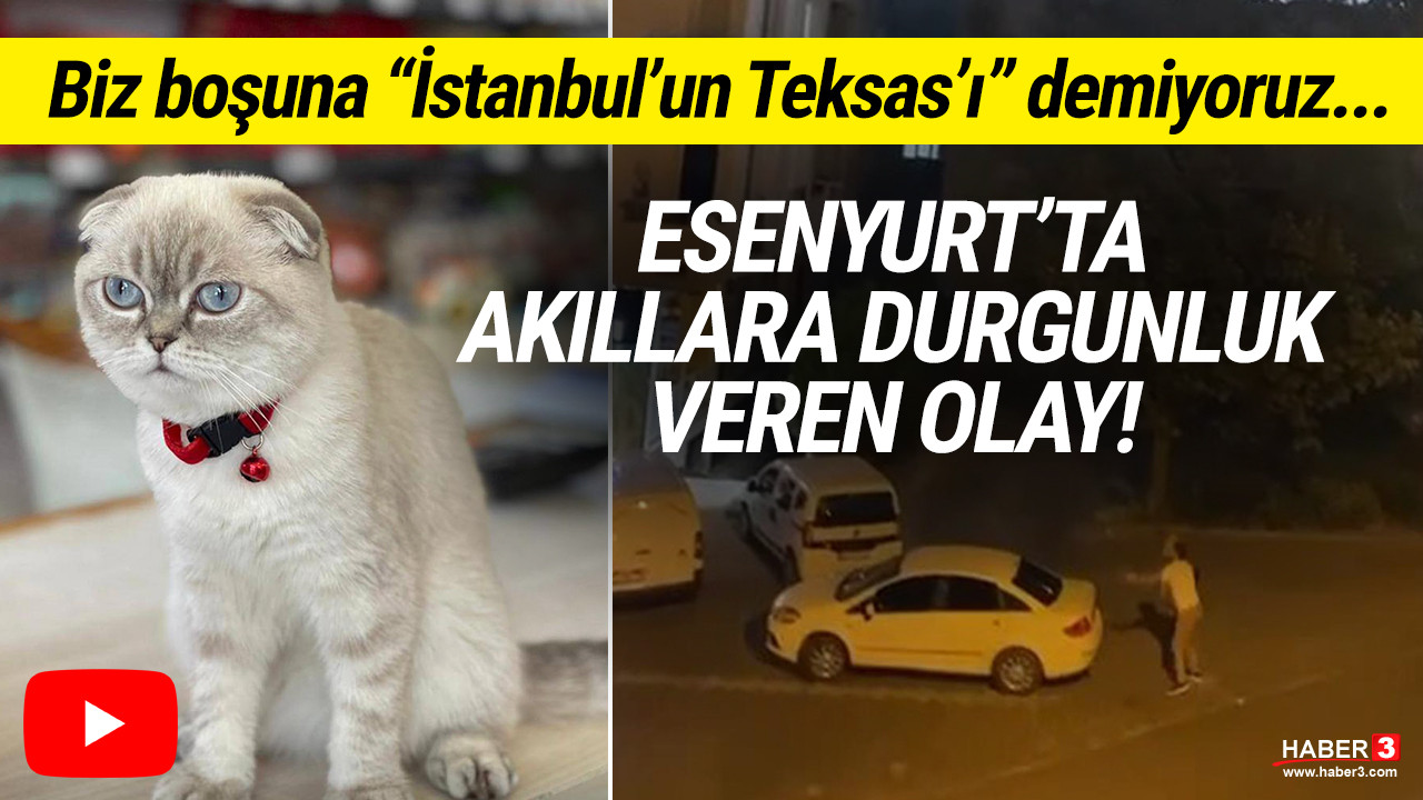 Esenyurt'ta kedi kavgası silahlı çatışmaya dönüştü: Yoldan geçen kurye yaralandı